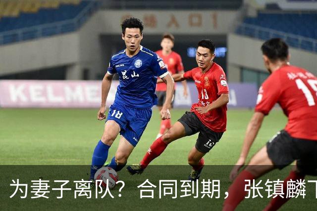 为妻子离队？合同到期，张镇麟下家4选1，广东2队有机会