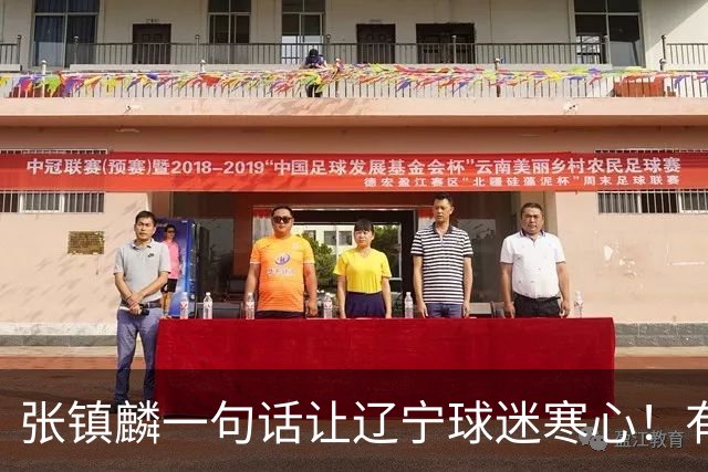 张镇麟一句话让辽宁球迷寒心！有些话不能说得太直白，耗子尾汁吧